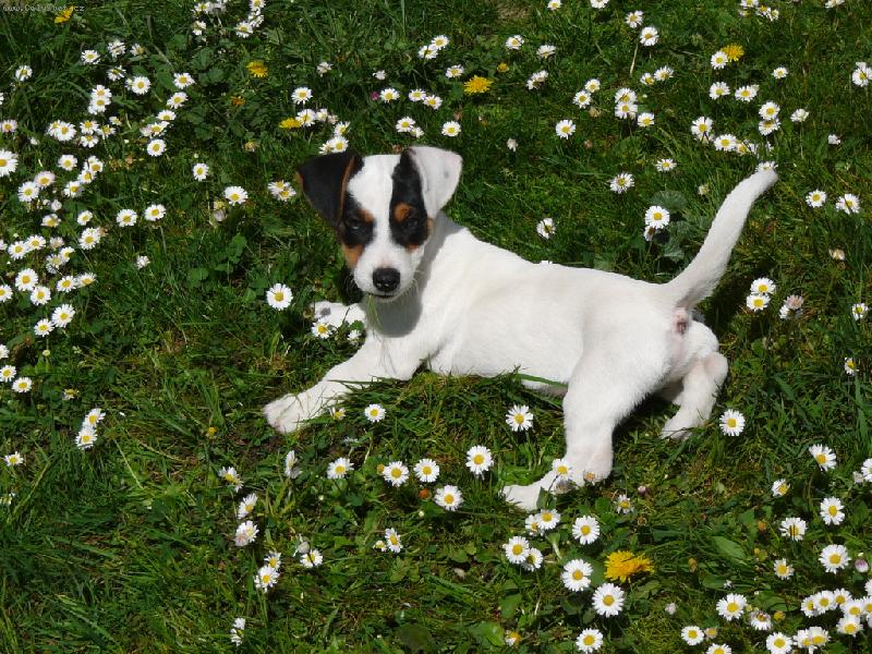 Foto: Hugo