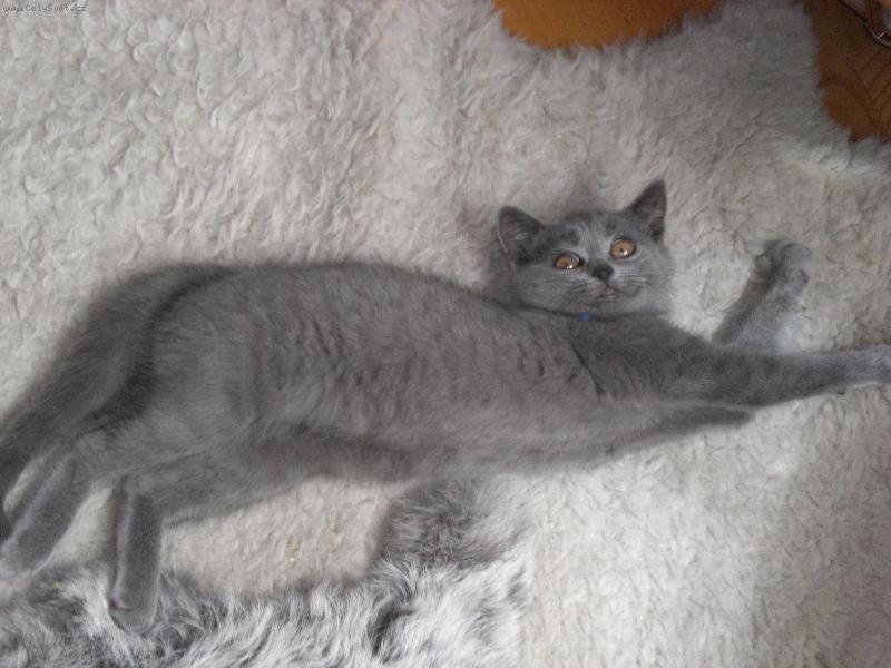 Foto: Britynka