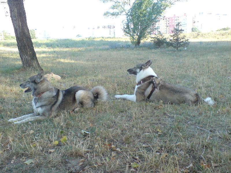 Foto: Askis a Asta tesne po....