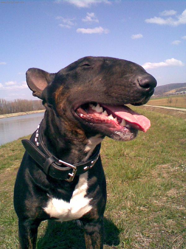 Foto: wasabi