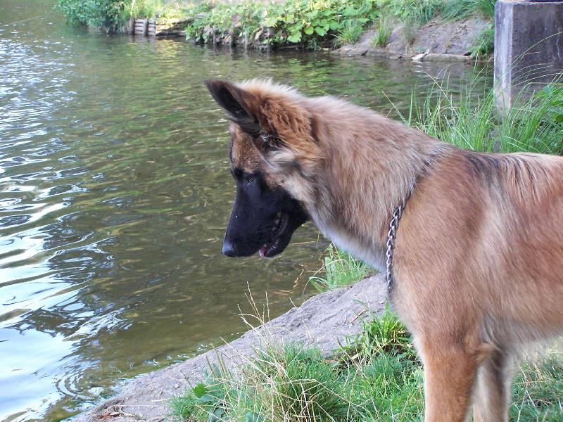 Foto: EL�-EL� Hradec Kr�lov� BOM