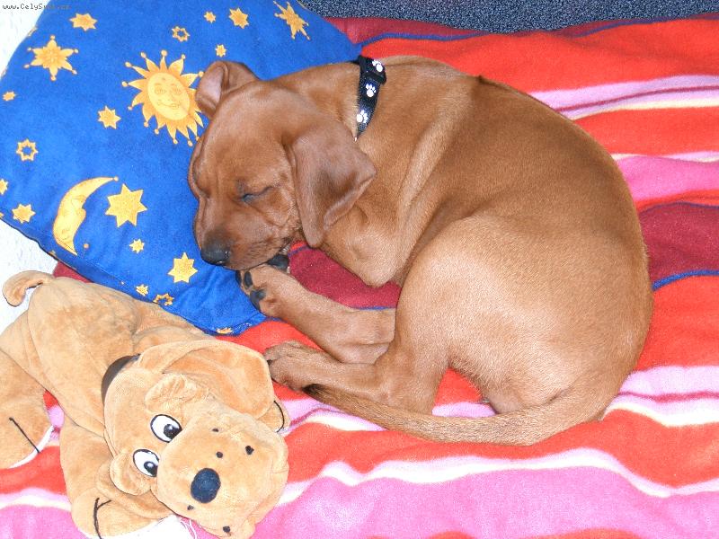 Foto: Odpo�inek