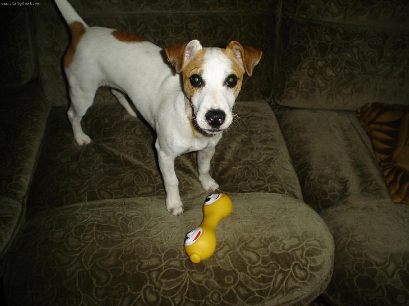 Foto: Phoebe