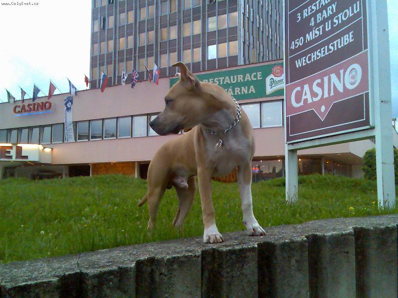 Foto: arny
