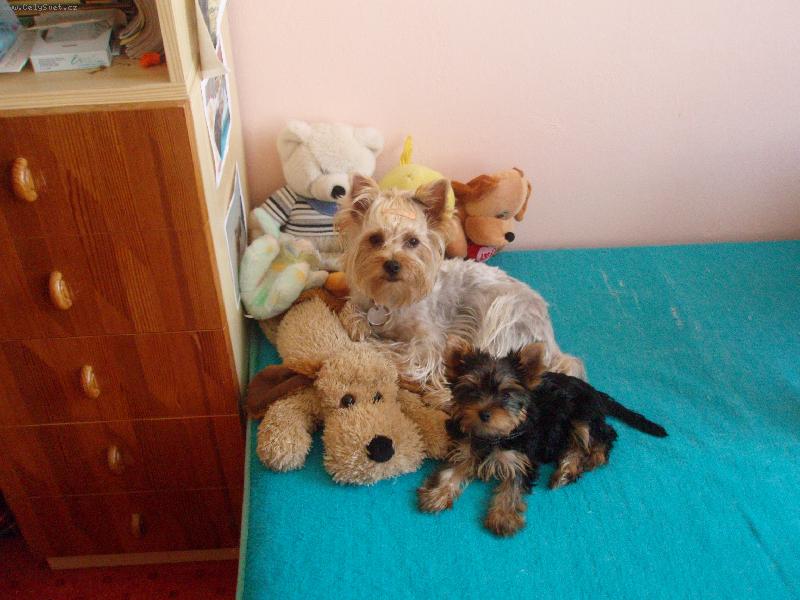 Foto: Nelli a Jessi