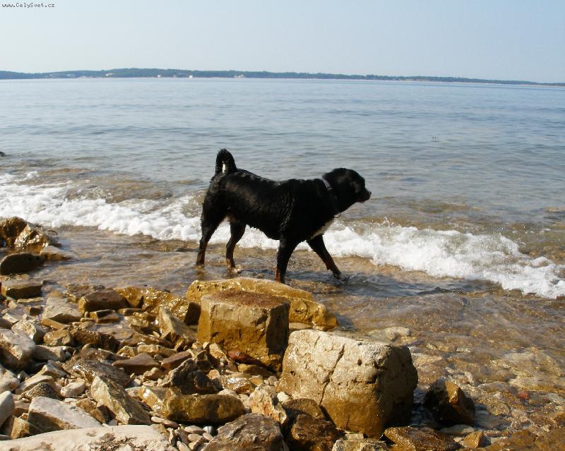 Foto: Hur� do mo�e...-Chorvatsko z��� 2007