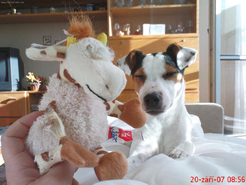 Foto: S hra�kou