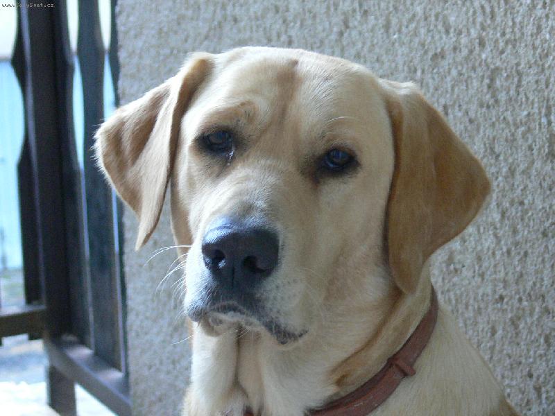 Foto: Nelly