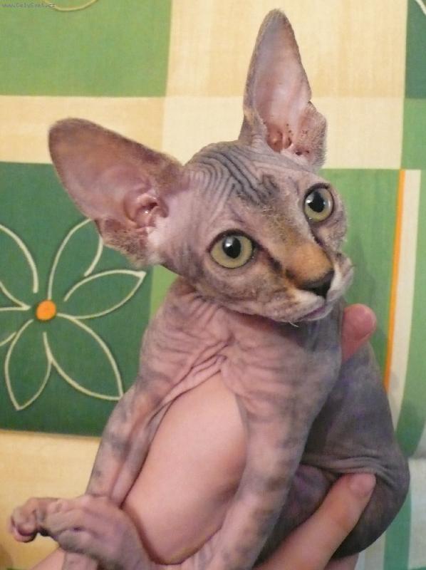 Foto: �anetka-na�e Nad�je