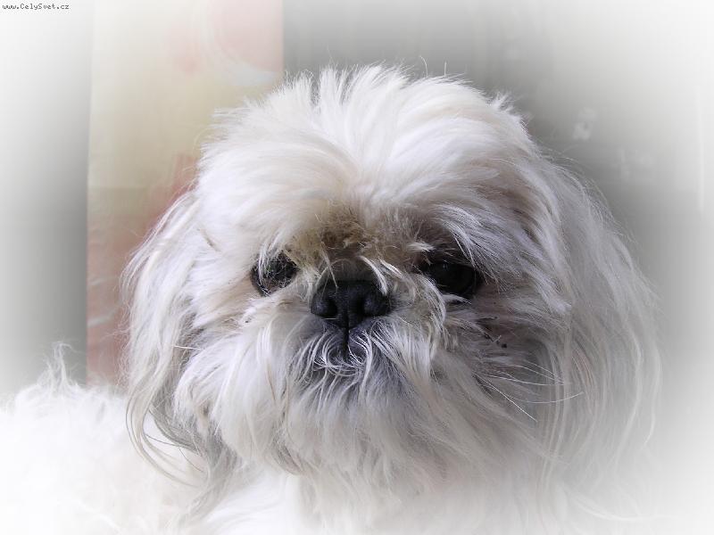 Foto: Max�k