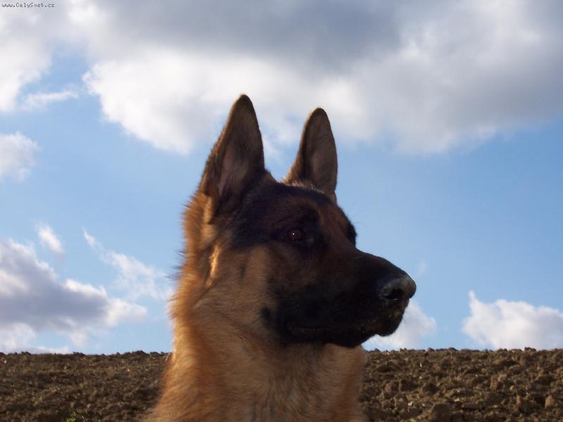Foto: Argo