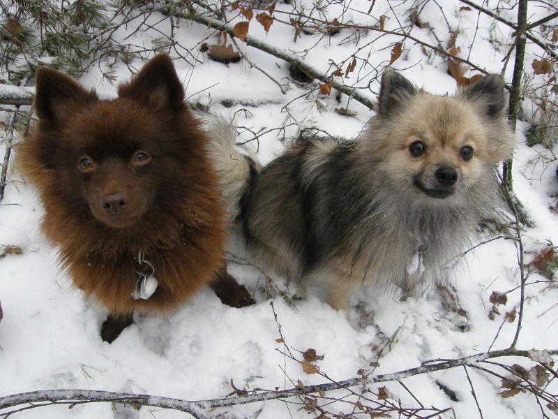 Foto: Spr�vn� dvojka