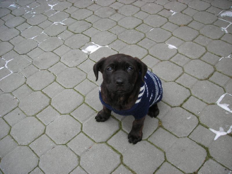 Foto: na�e matylda-krasavice