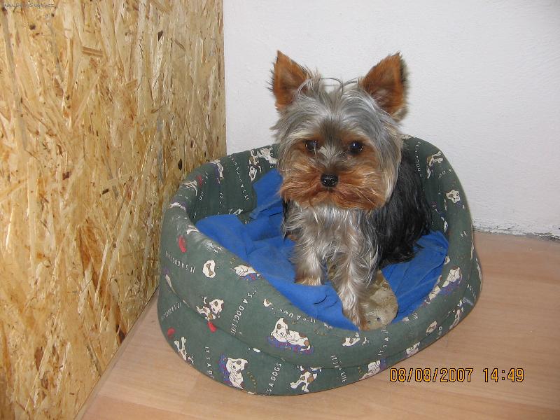 Foto: Phoebe