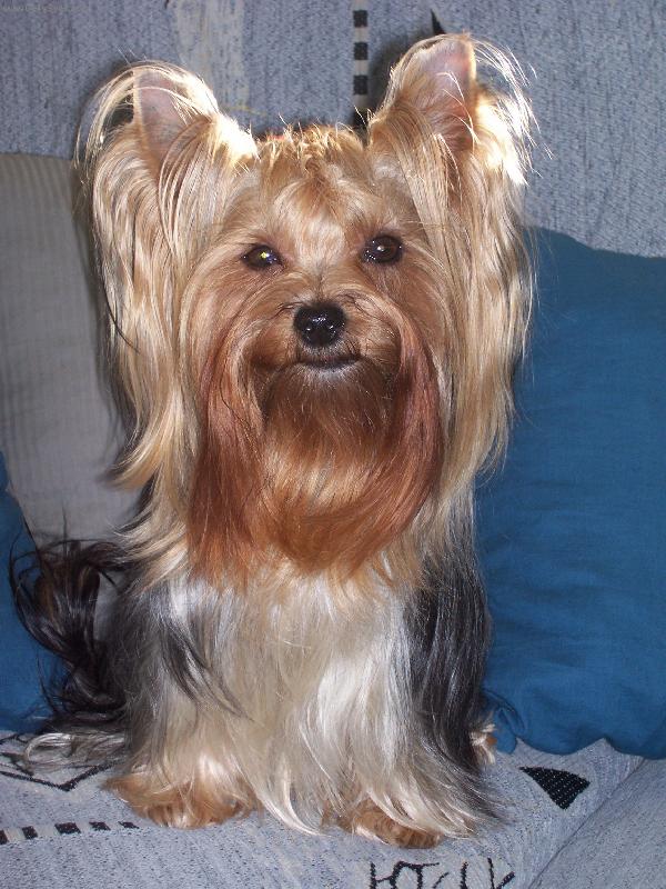 Foto: Bessy-Bessy