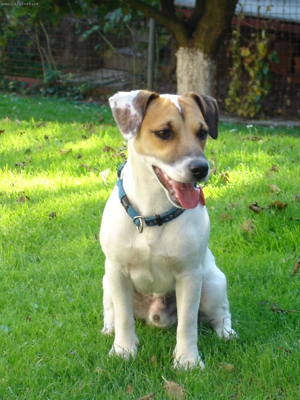 Foto: Spike
