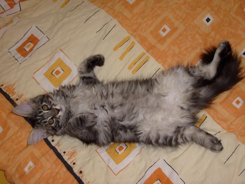 Foto: Mat�sek-...v post�lce..