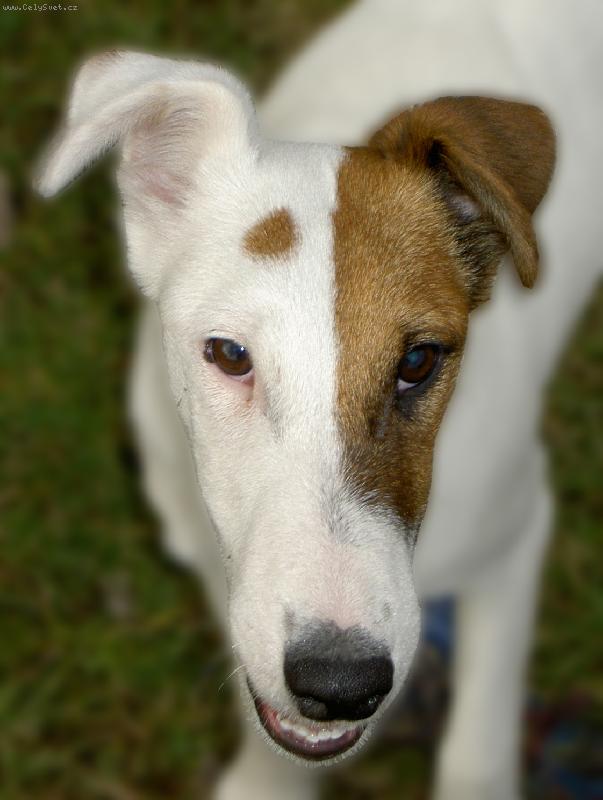 Foto: Song od Ryt��e Malovce