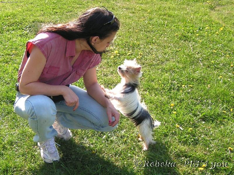 Foto: J� a Penny