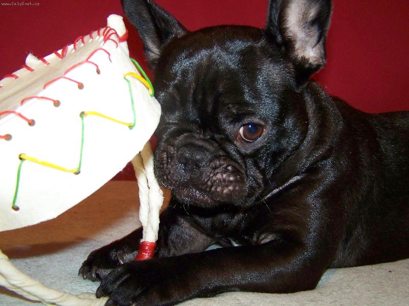 Foto: Lucky