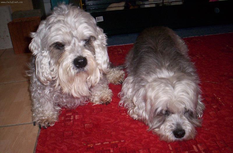 Foto: Na�e holky-Jsou to na�i mil��ci