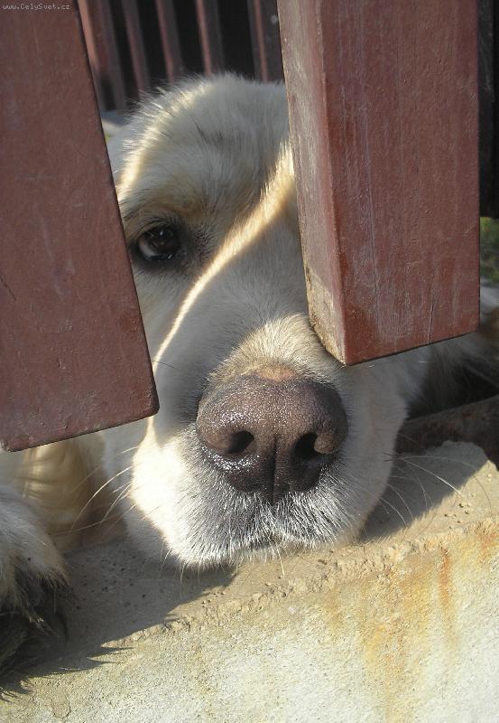 Foto: Mia :)