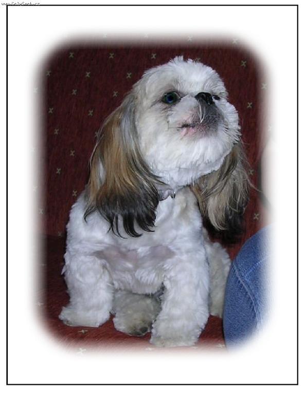Foto: Cassie