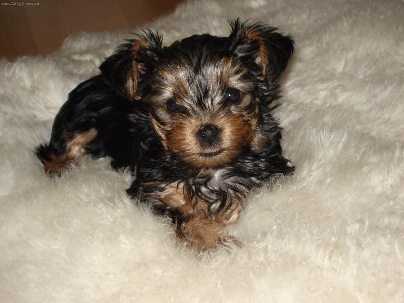 Foto: P�eji kr�sn� den.....-Chv�le odpo�inku