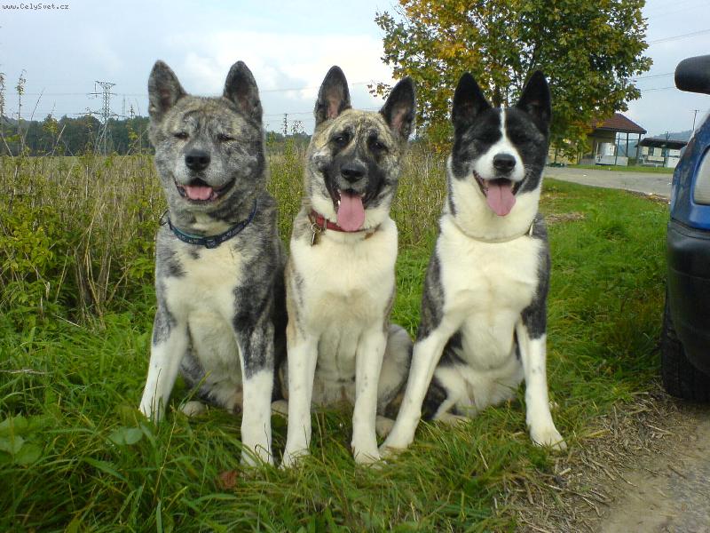 Foto: Skupinka