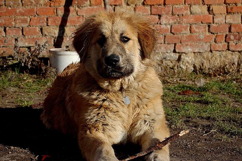 Foto: arch�-6 m�s�c�