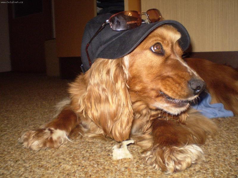 Foto: Niki-Jsem p�ipraven� na l�to