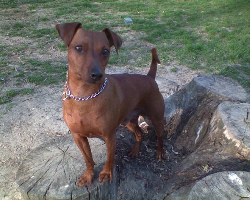 Foto: J���� Lord�k-....