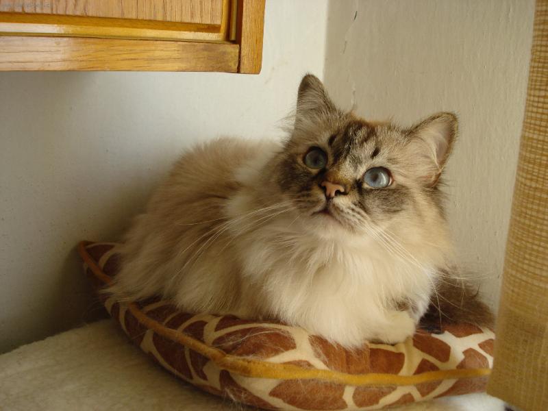 Foto: mil��ek Ti�mek