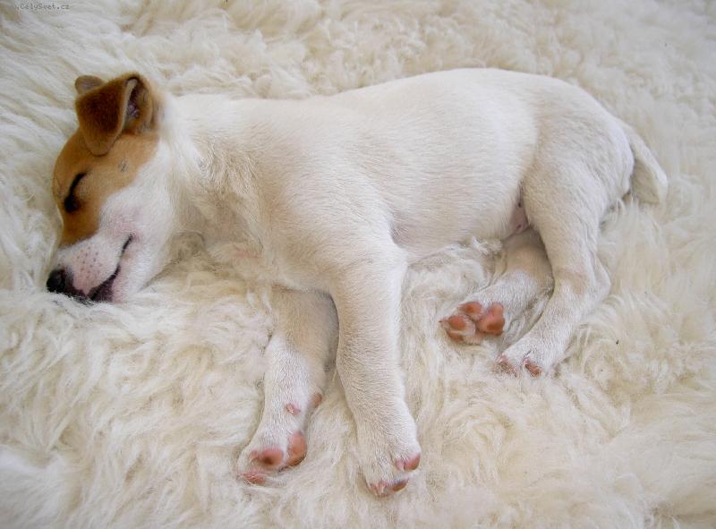 Foto: Max