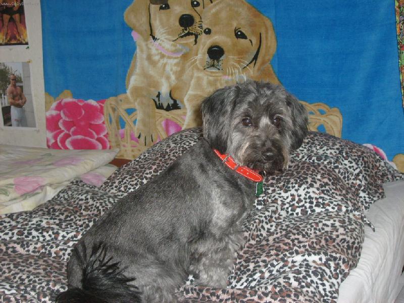 Foto: Na�e roztomil� S�rinka-kuk!!:-*