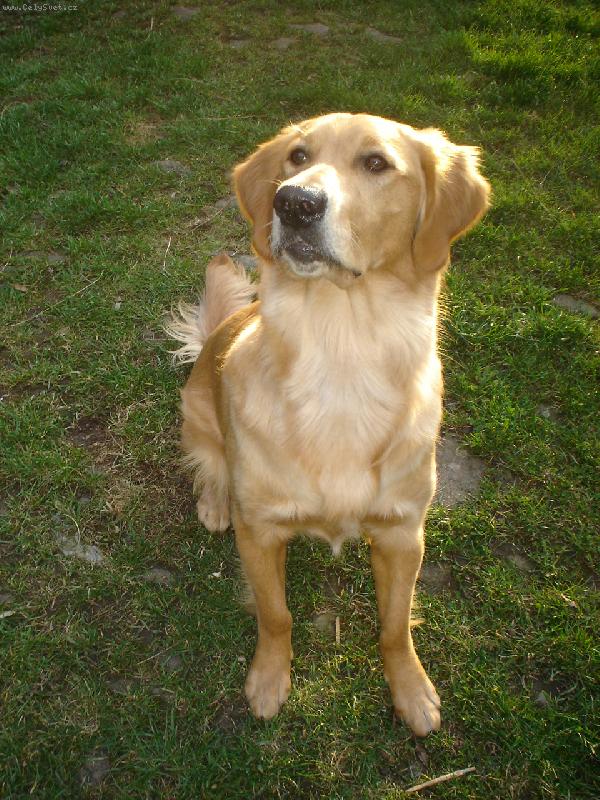 Foto: Ginuska