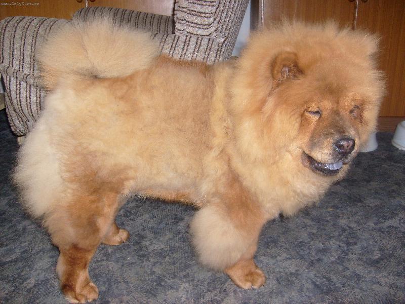 Foto: Jonita Haltrava