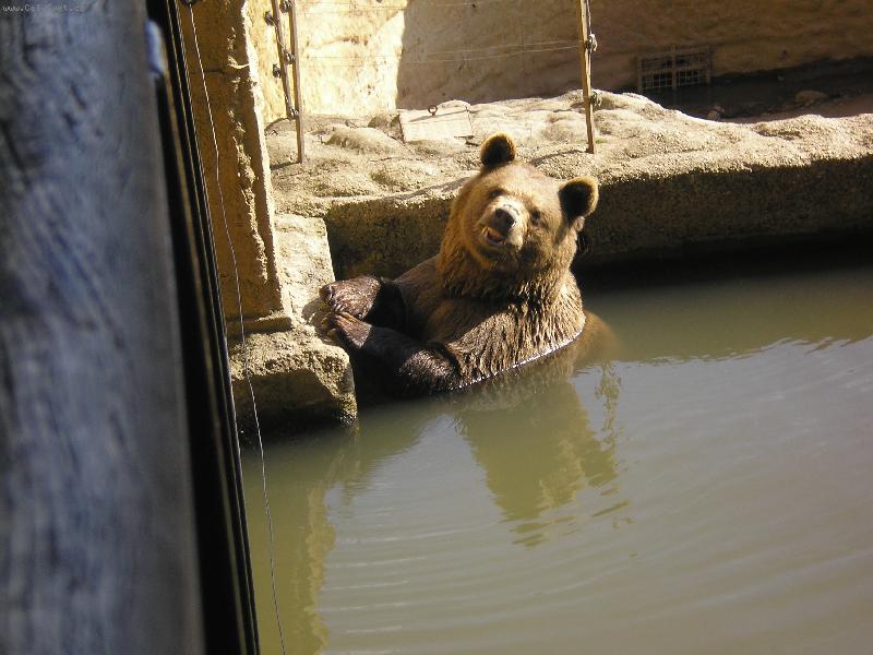 Foto: M��a-Vodu j� r�d