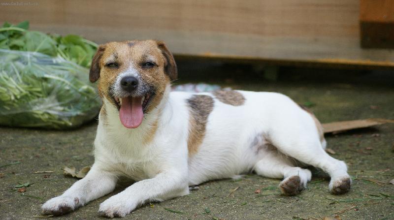 Foto: �sm�v,pros�m....