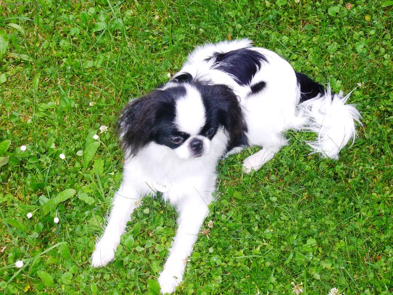 Foto: �IKO - to jsme u� vyrostli