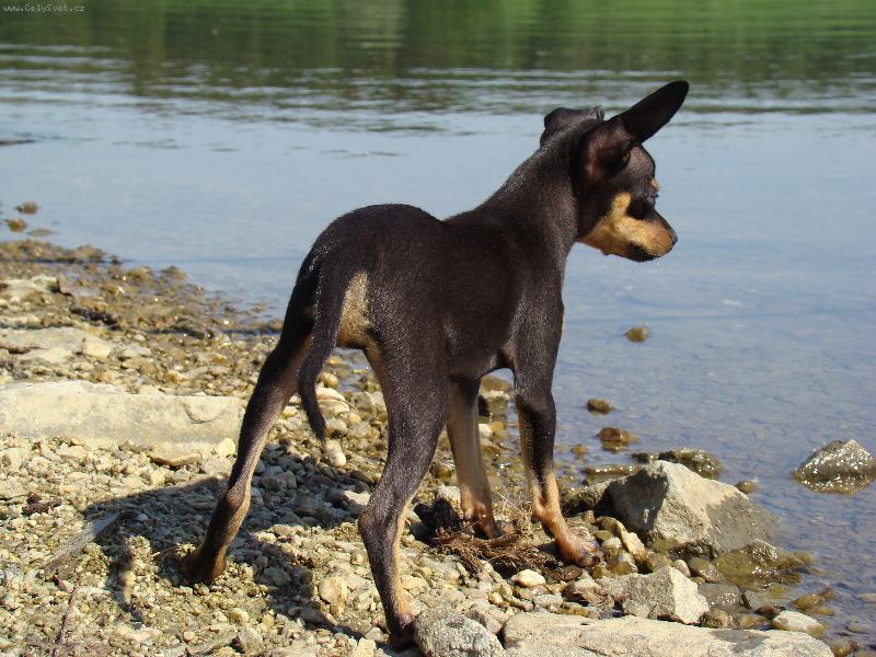 Foto: na ryb�ch-voda