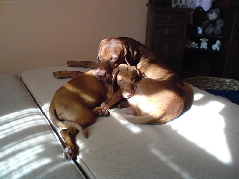 Foto: Paddy a Eimy z D���na-Kone�n� M�m s�gru