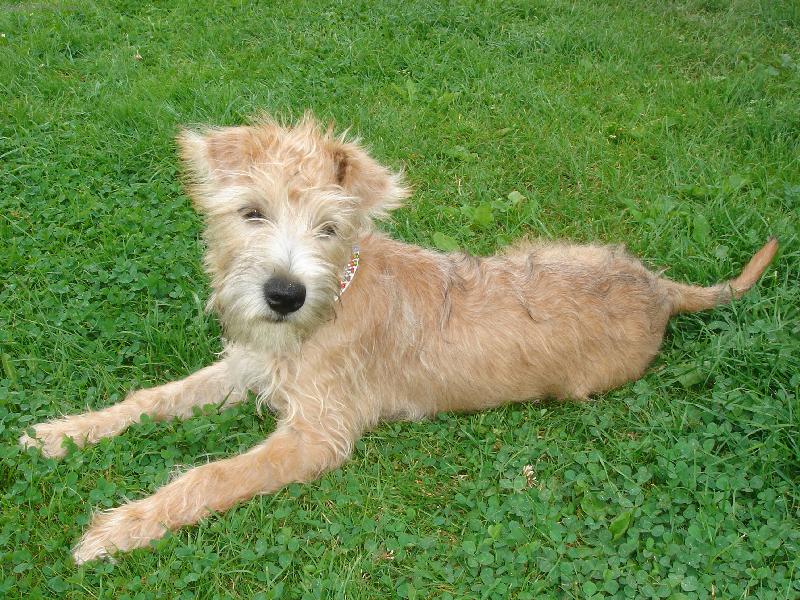 Foto: �t�n� 4 m�s�ce-Marilyn Monroe Kni-York