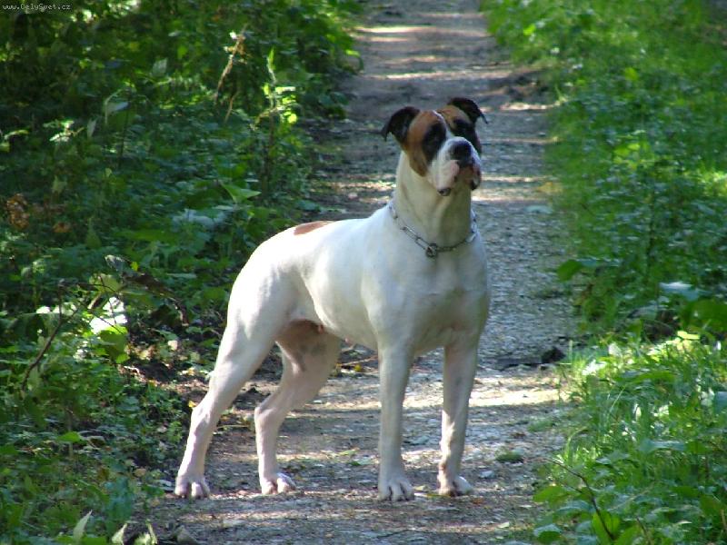 Foto: ...z v�letu - Grufik"s  Roxana