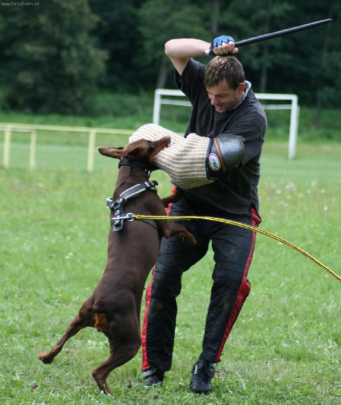 Foto: Kelly �ern� tr�n