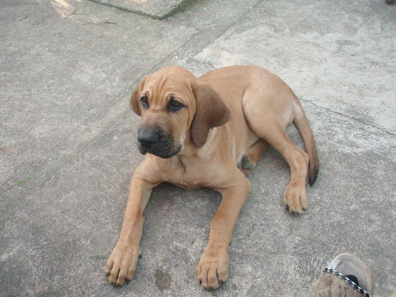 Foto: Aidinka ve 4 m�s�c�ch