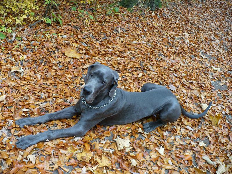 Foto: Buraczek Helza