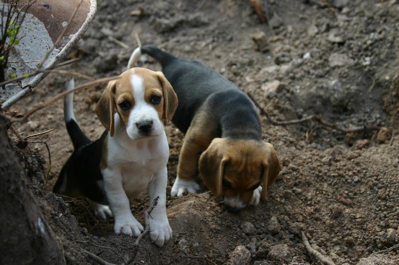 Foto: moje mimine�to