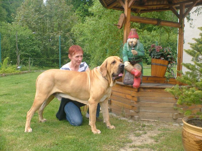 Foto: Imperio Dorado Bruno-na� Bruno mazlik