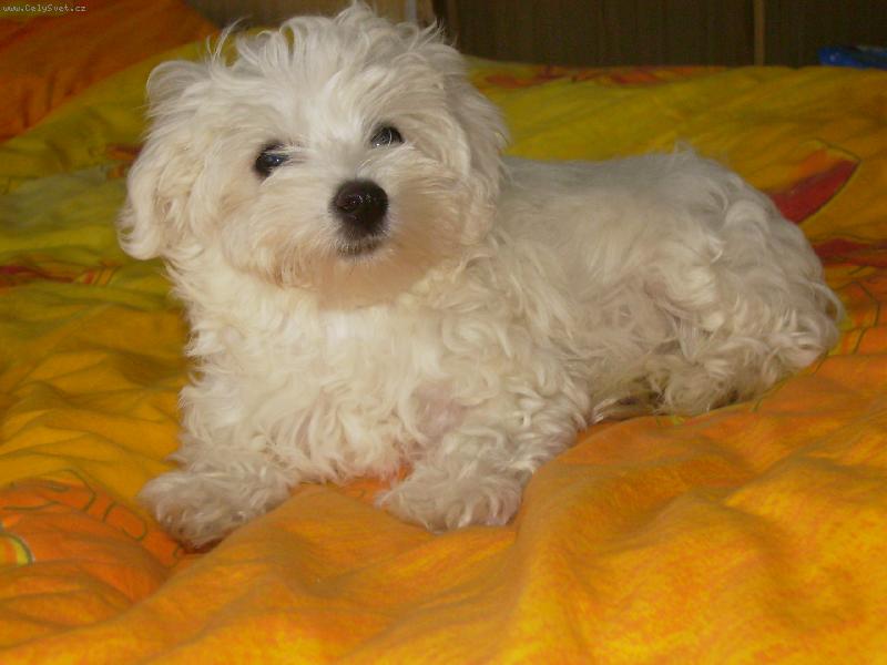 Foto: Mat�sek 2-Jsem fe��k ...